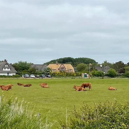 Greta Holiday home